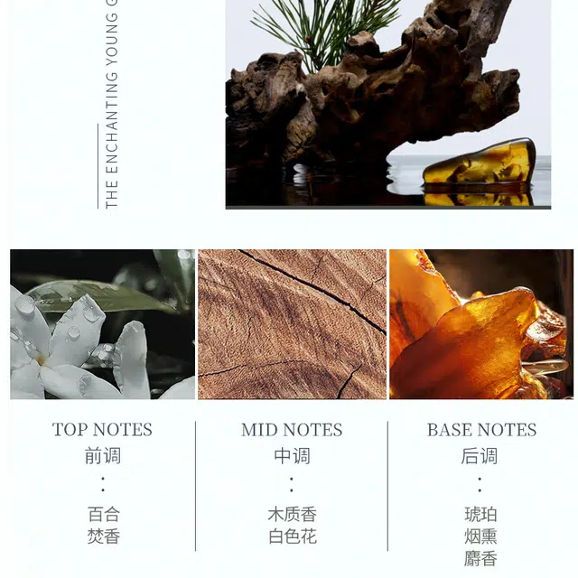 EDT 12ml