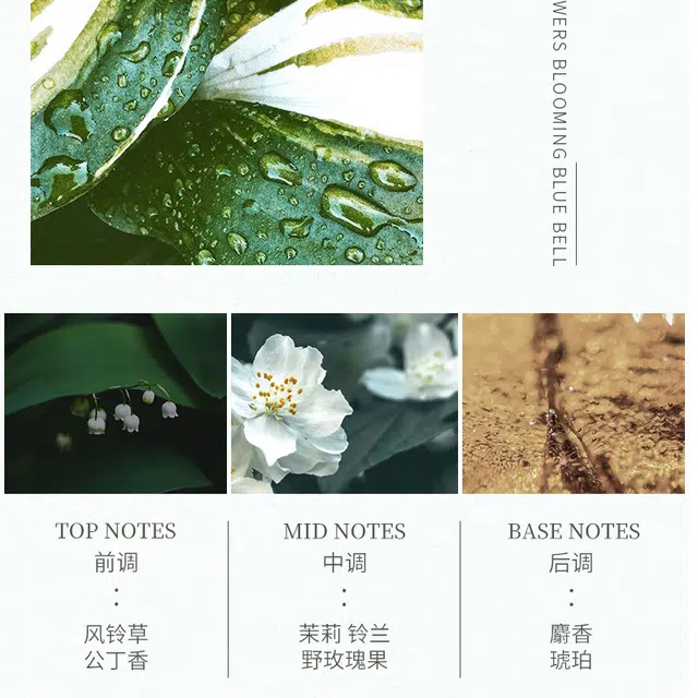 EDT 12ml