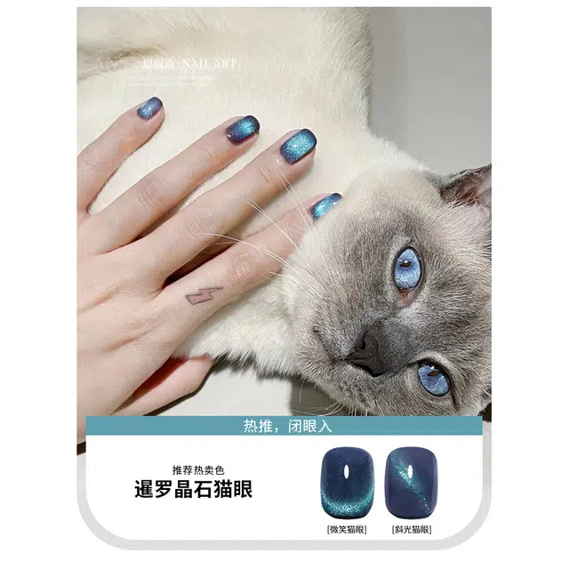 恩妮诗 绿宝石晶石猫眼甲油胶 流行显白百搭