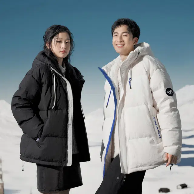 SNOW FLYING 85logo