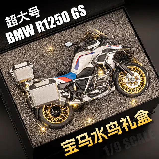 MX BMW R1250GS 19