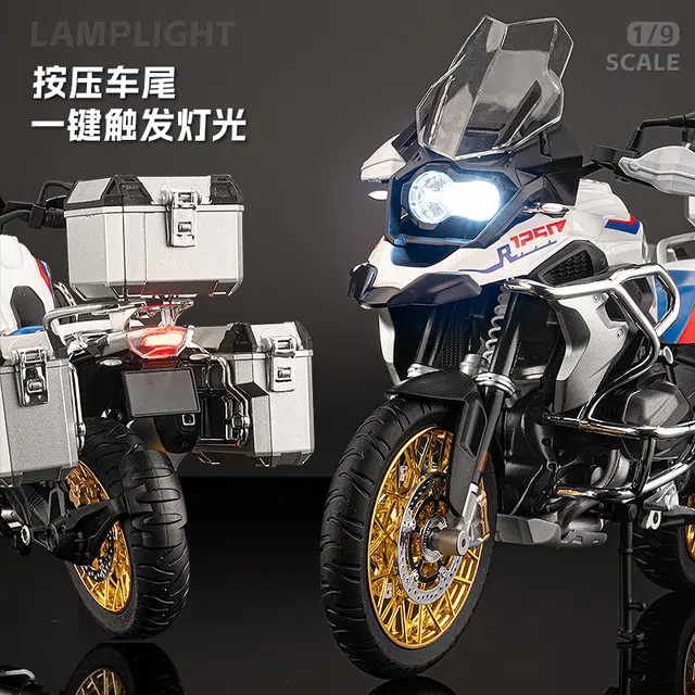 MX BMW R1250GS 19