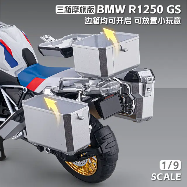 MX BMW R1250GS 19