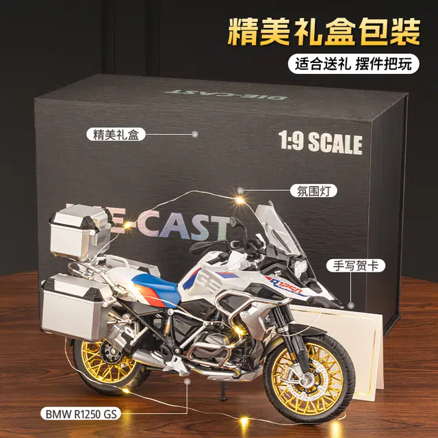 MX BMW R1250GS 19