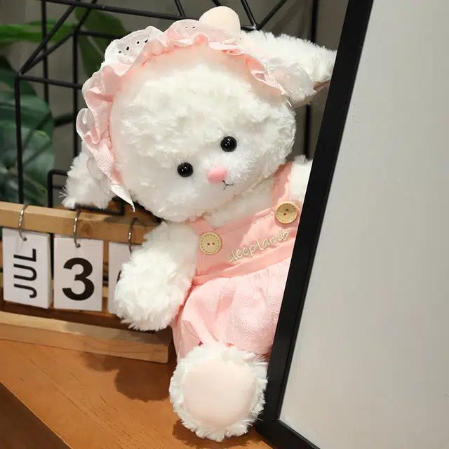 25cm35cm