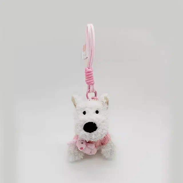 12cm