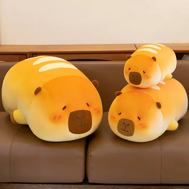 40cm50cm70cm