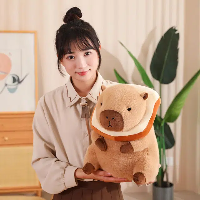 30cm40cm