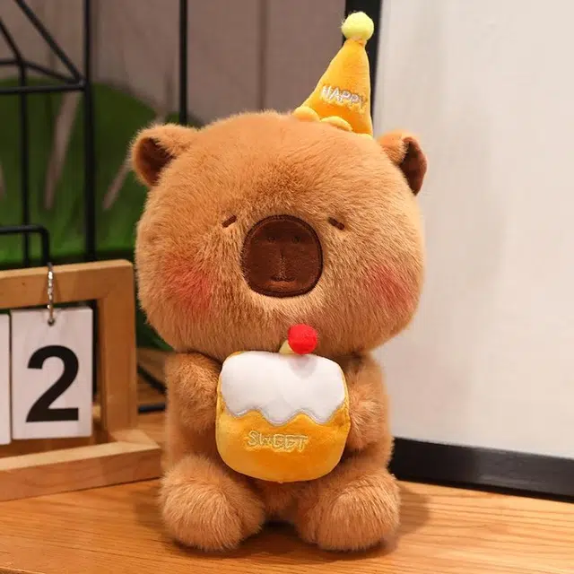 25cm