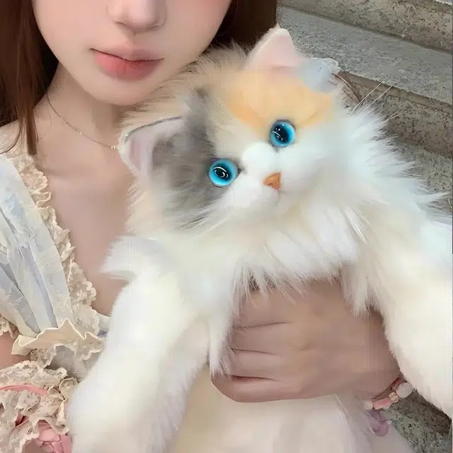 28cm
