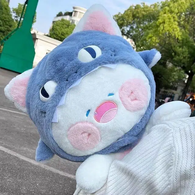 35cm50cm