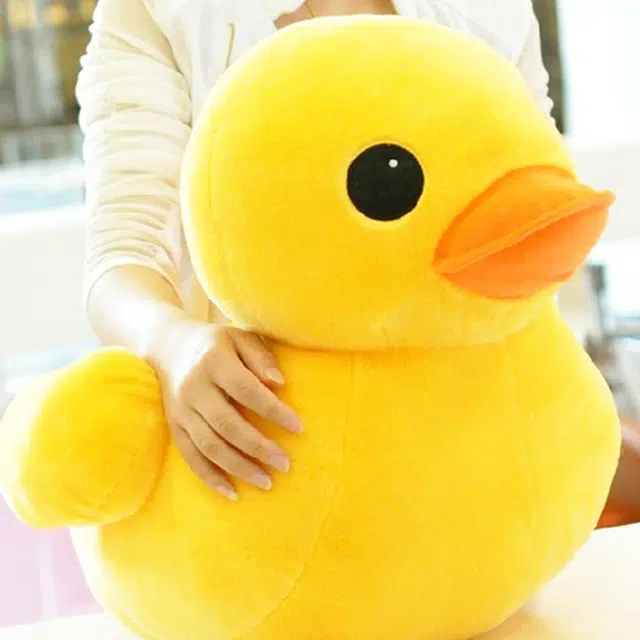 MORTEN SOLUM 20cm30cm50cm70cm85cm100cm