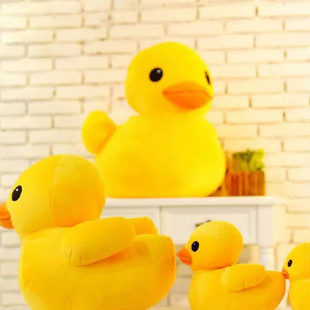 MORTEN SOLUM 20cm30cm50cm70cm85cm100cm