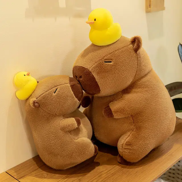 35cm45cm55cm95cm