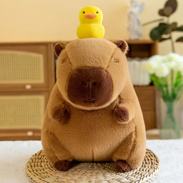 35cm45cm55cm95cm