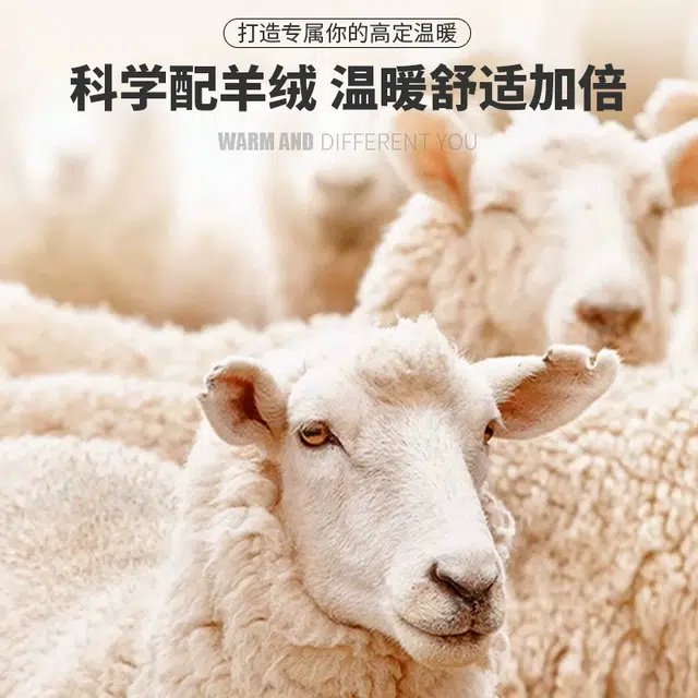 Automobili Lamborghini