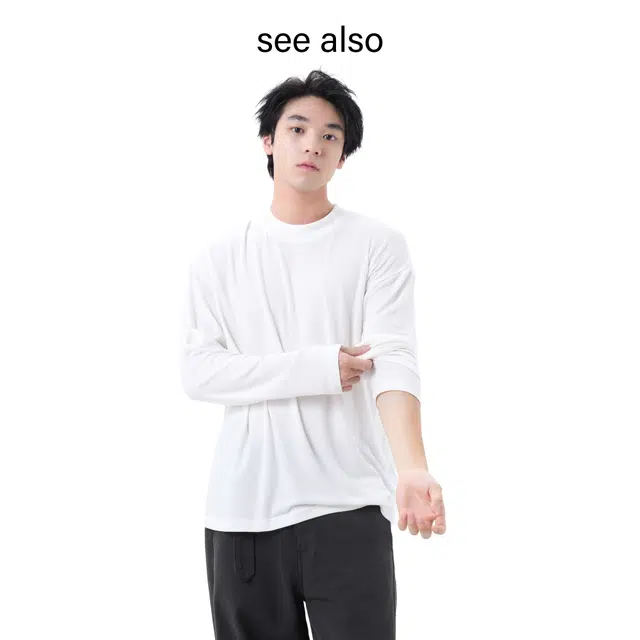 SEE ALSO T
