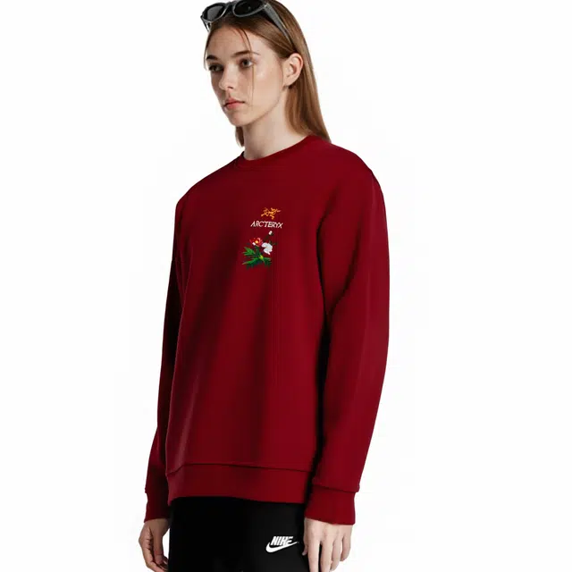 Arcteryx Emblem logo