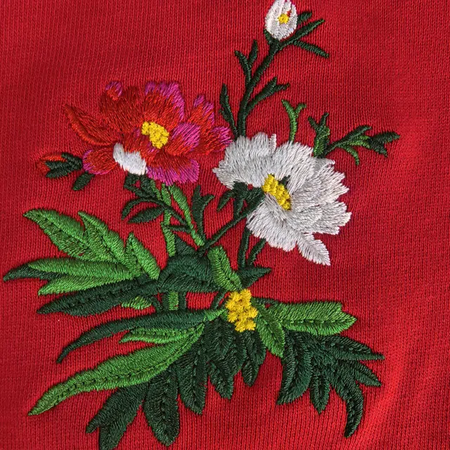 Arcteryx Emblem logo