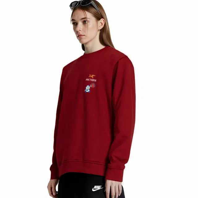 Arcteryx Emblem logo