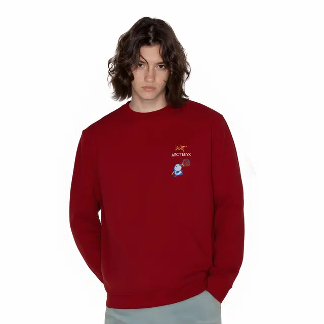 Arcteryx Emblem logo