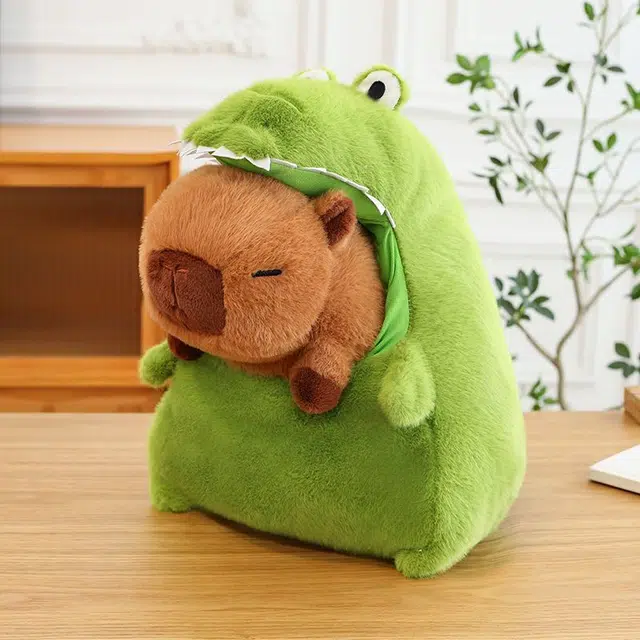CANEXT 30cm40cm