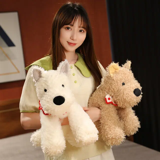 CANEXT 22cm30cm40cm