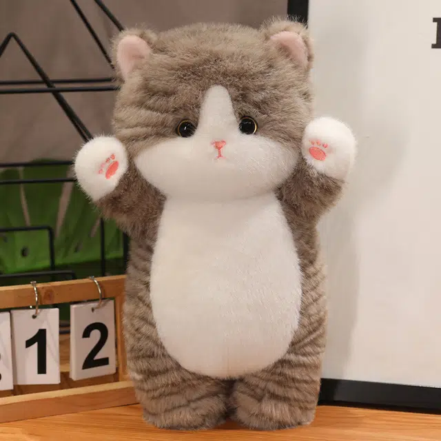 CANEXT 35cm