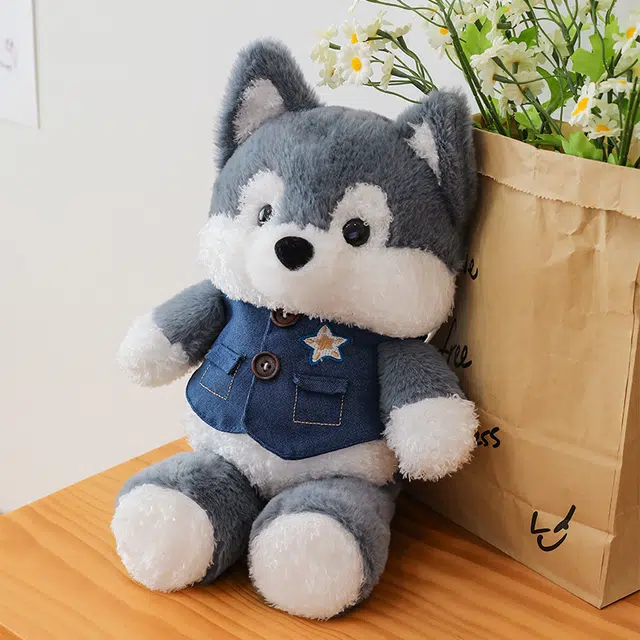 CANEXT 40cm50cm
