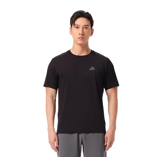 PELLIOT T