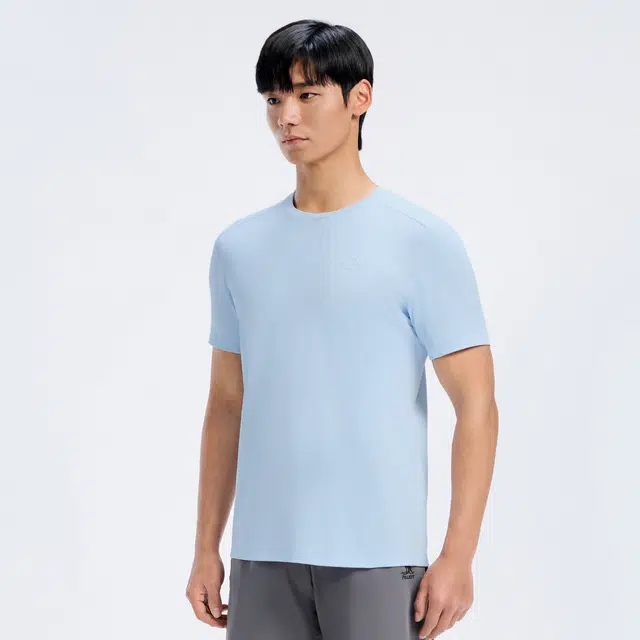 PELLIOT T