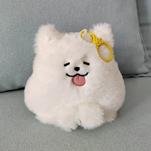 13cm38cm