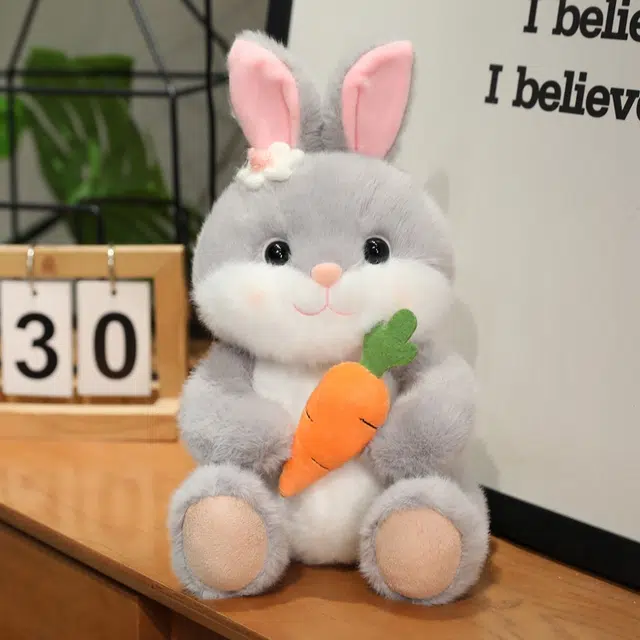 25cm