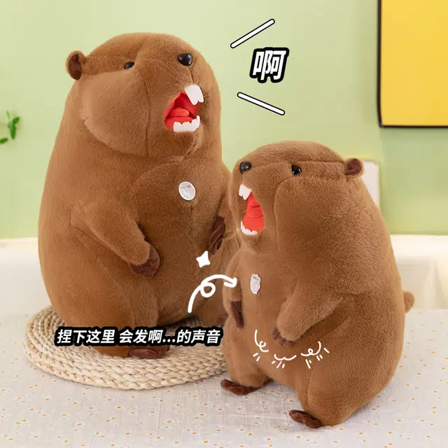 30cm40cm50cm