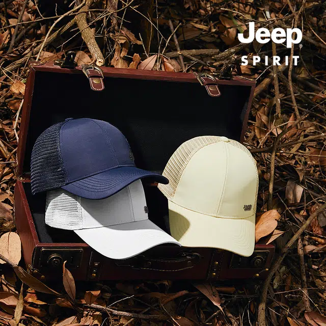 JEEP SPIRIT