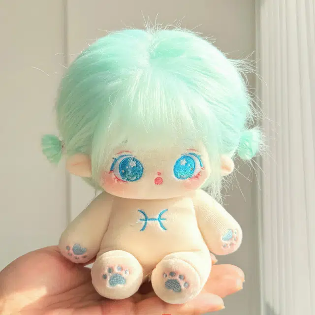 20CM