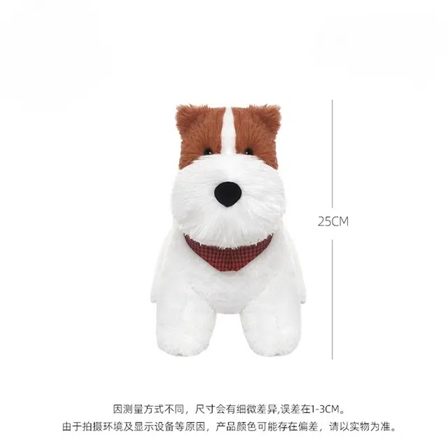 25cm