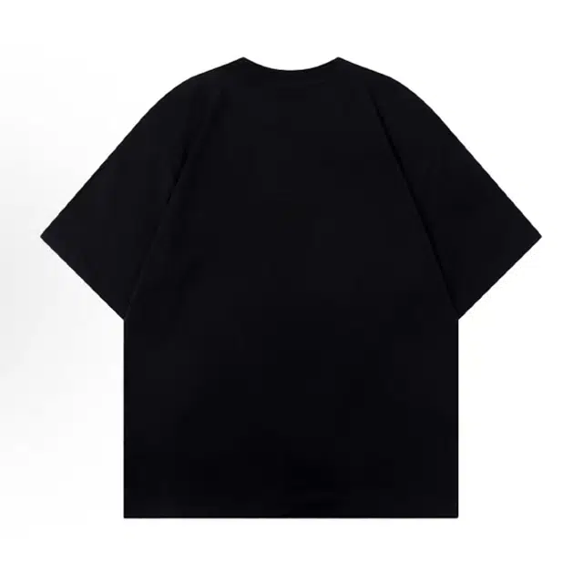 WELTER EXPERIMENT T