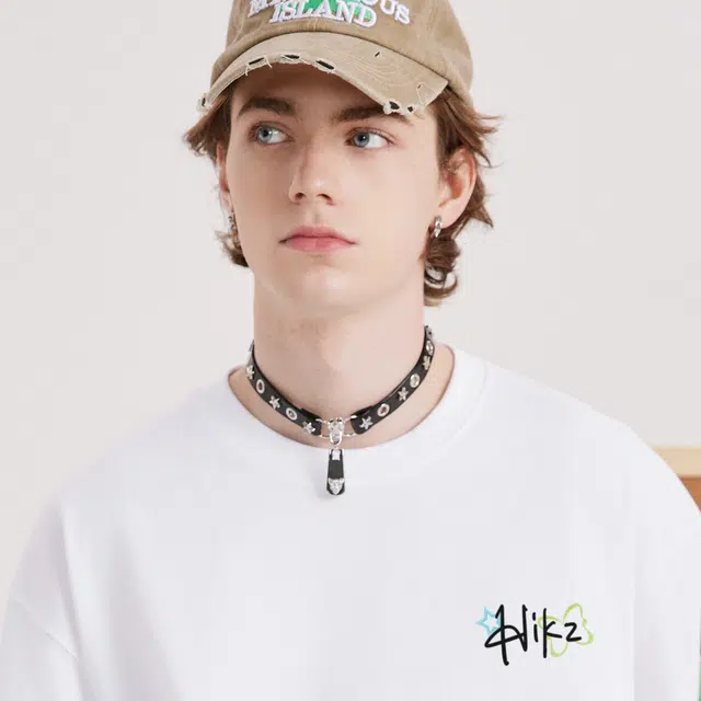 HIKZ 320GLogoT