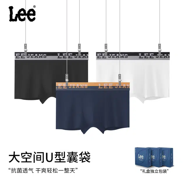 Lee 10A 3
