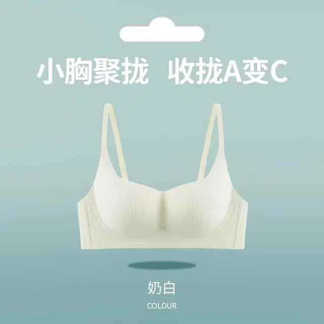 黛尔佳人 内衣女小胸聚拢显大无痕无钢圈收副乳软支撑上托防下垂胸罩文胸 女款