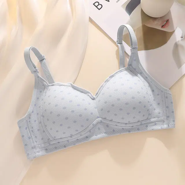 黛尔佳人 内衣女夏季薄款无钢圈无痕聚拢小胸少女胸罩防下垂文胸 女款