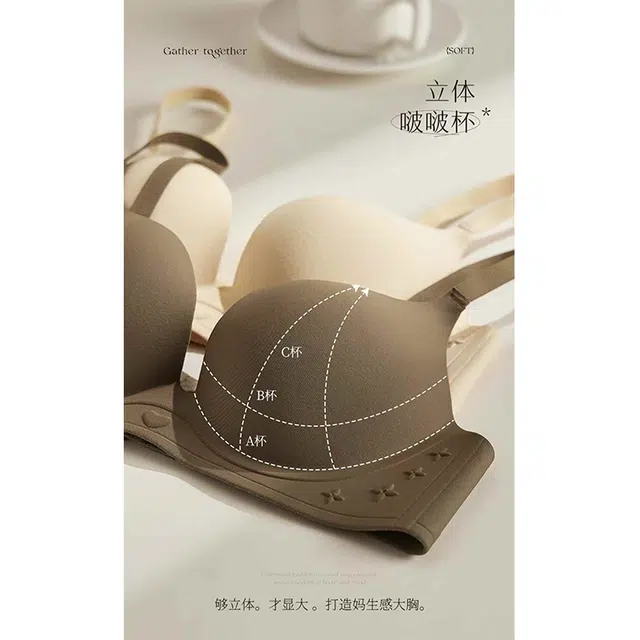 黛尔佳人 无痕内衣女士小胸聚拢显大上托收副乳防下垂无钢圈平胸专用胸罩文胸 女款