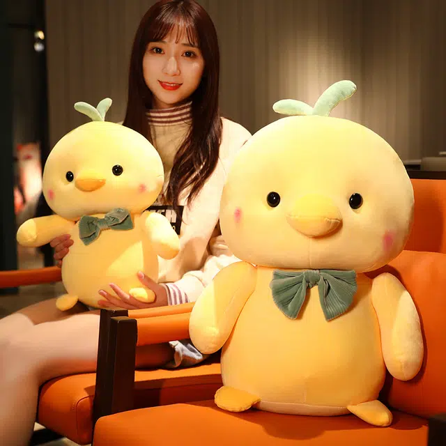 22cm35cm50cm70cm