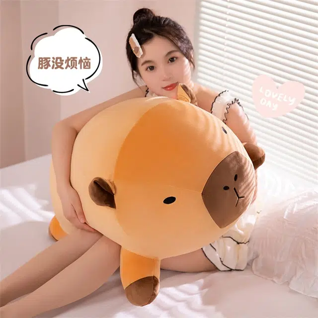40cm50cm