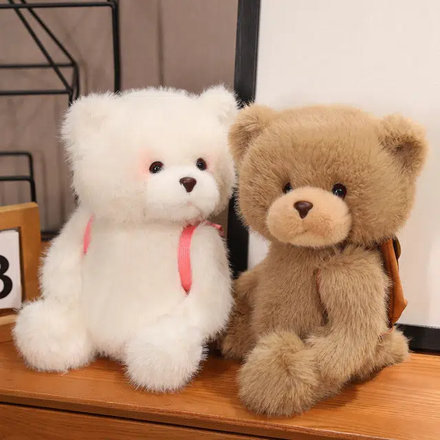 25cm35cm