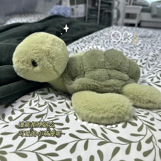 ins 30cm40cm