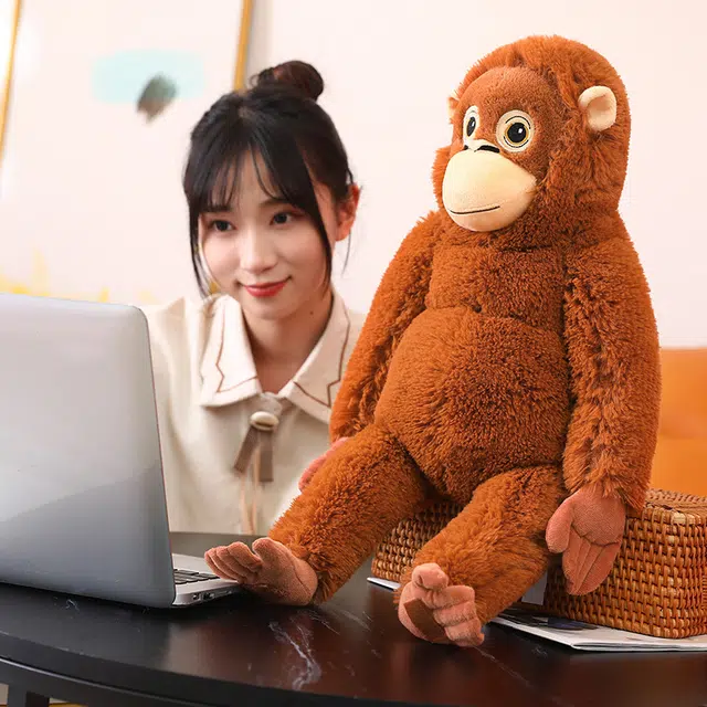 66cm