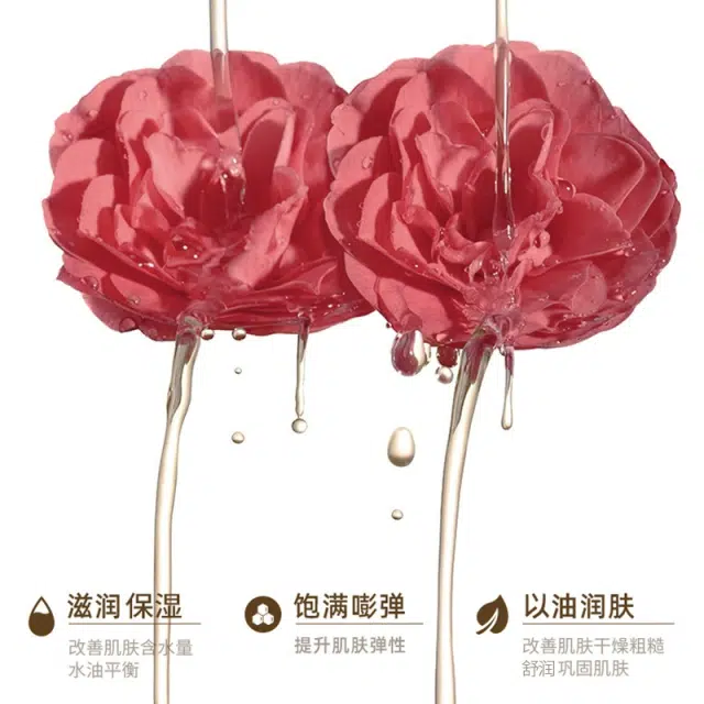 致朵山茶花植萃安肤油 保湿清爽滋润补水