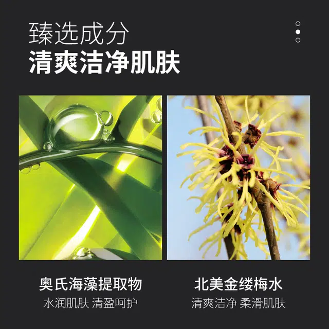 莱蔻 男士净透清爽洁面乳 清爽清洁